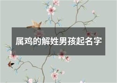 属鸡的解姓男孩起名字