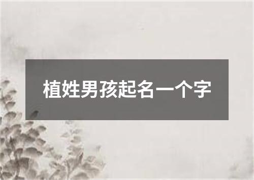 植姓男孩起名一个字