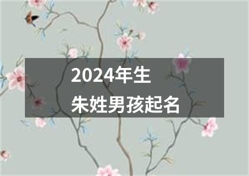 2024年生朱姓男孩起名