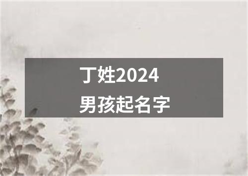 丁姓2024男孩起名字