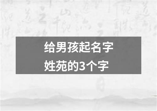 给男孩起名字姓苑的3个字