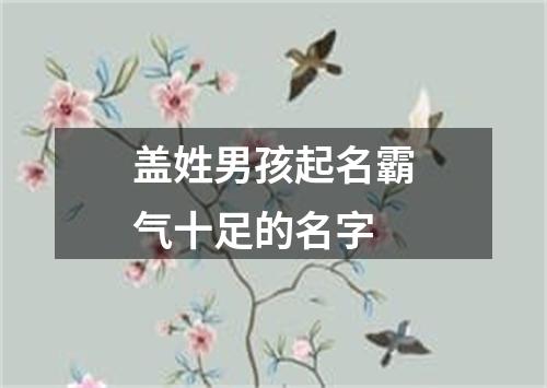 盖姓男孩起名霸气十足的名字