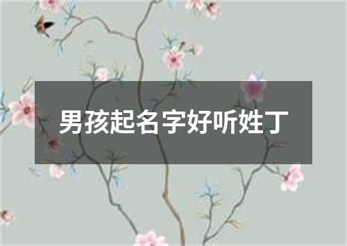 男孩起名字好听姓丁