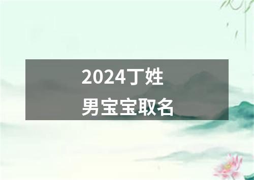 2024丁姓男宝宝取名