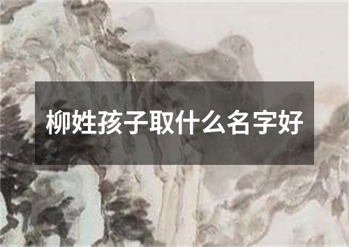 柳姓孩子取什么名字好