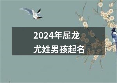 2024年属龙尤姓男孩起名