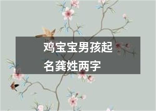 鸡宝宝男孩起名龚姓两字