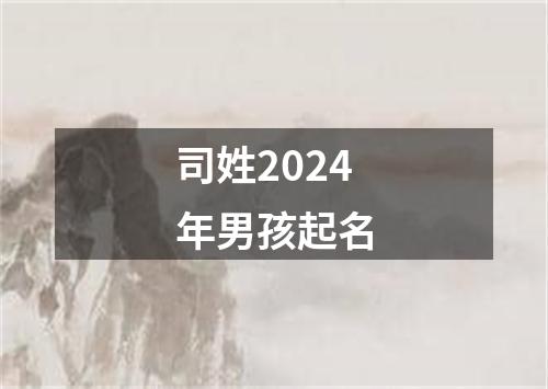 司姓2024年男孩起名