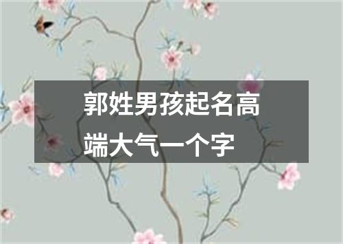 郭姓男孩起名高端大气一个字