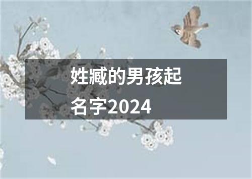 姓臧的男孩起名字2024