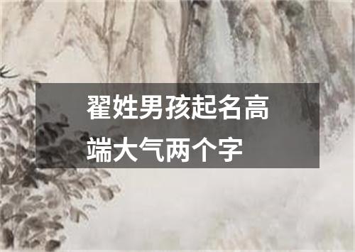 翟姓男孩起名高端大气两个字