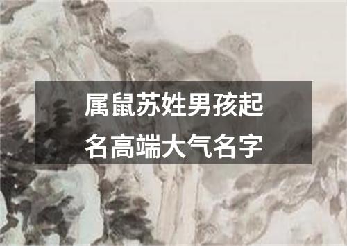 属鼠苏姓男孩起名高端大气名字