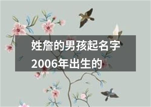 姓詹的男孩起名字2006年出生的