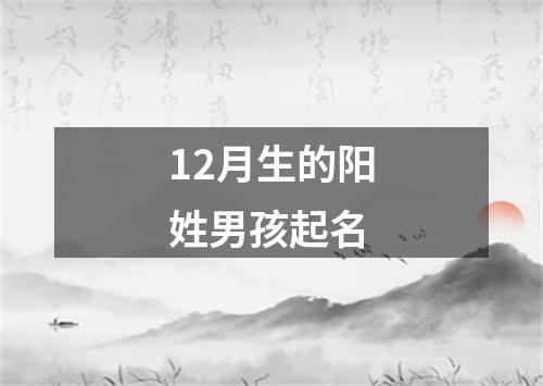 12月生的阳姓男孩起名