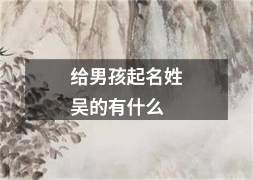 给男孩起名姓吴的有什么