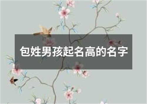 包姓男孩起名高的名字