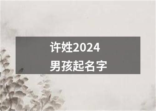 许姓2024男孩起名字