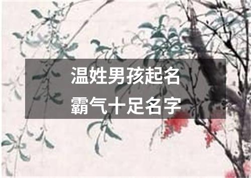 温姓男孩起名霸气十足名字