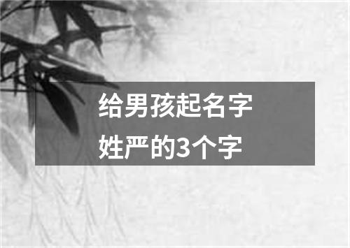 给男孩起名字姓严的3个字