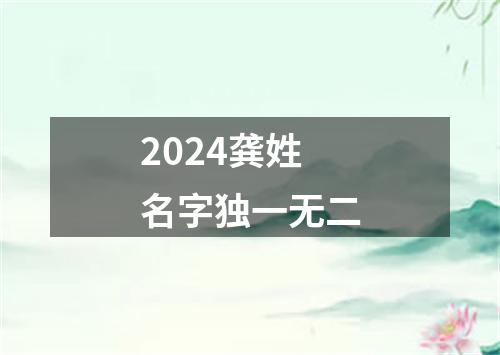 2024龚姓名字独一无二