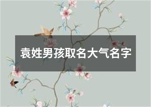 袁姓男孩取名大气名字