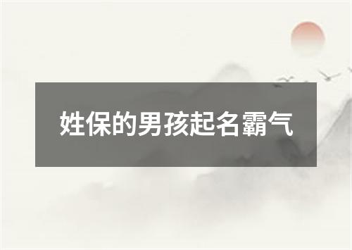 姓保的男孩起名霸气