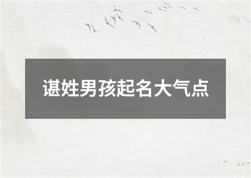 谌姓男孩起名大气点