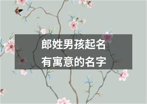 郎姓男孩起名有寓意的名字