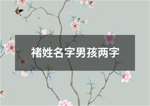 褚姓名字男孩两字