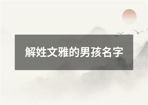 解姓文雅的男孩名字