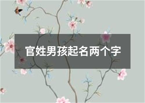 官姓男孩起名两个字