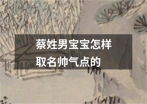 蔡姓男宝宝怎样取名帅气点的