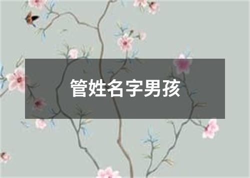 管姓名字男孩