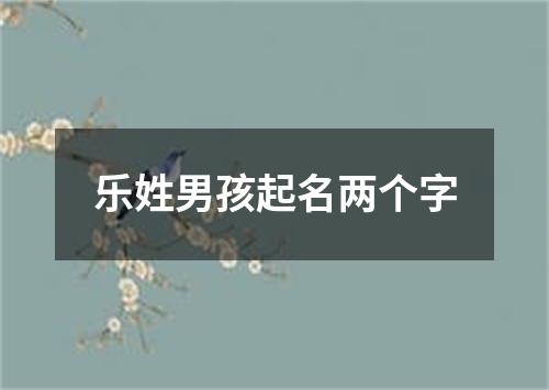 乐姓男孩起名两个字