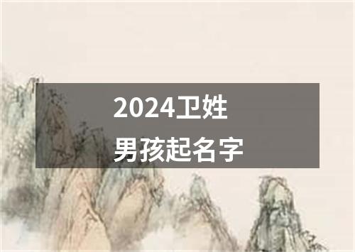 2024卫姓男孩起名字