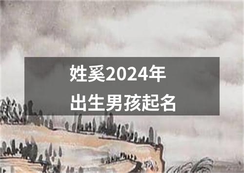 姓奚2024年出生男孩起名