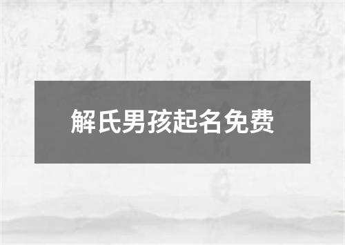 解氏男孩起名免费