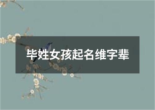 毕姓女孩起名维字辈