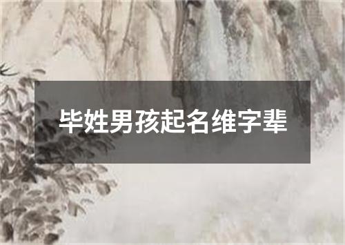 毕姓男孩起名维字辈