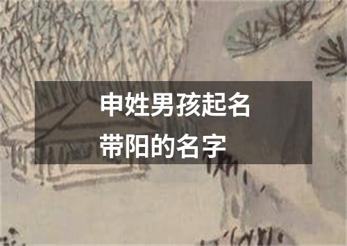 申姓男孩起名带阳的名字