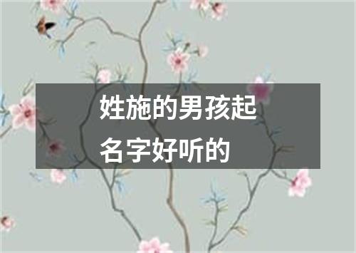 姓施的男孩起名字好听的