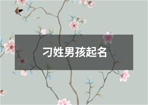 刁姓男孩起名