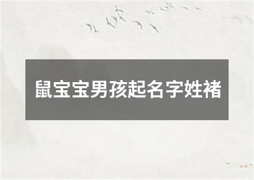 鼠宝宝男孩起名字姓褚