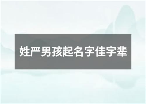 姓严男孩起名字佳字辈