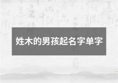 姓木的男孩起名字单字