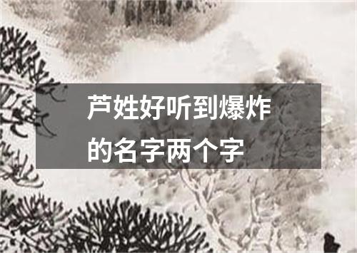 芦姓好听到爆炸的名字两个字