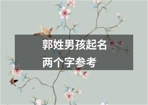 郭姓男孩起名两个字参考