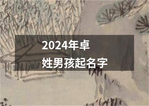 2024年卓姓男孩起名字