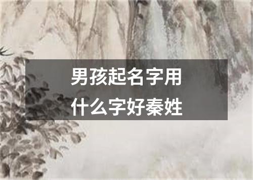 男孩起名字用什么字好秦姓