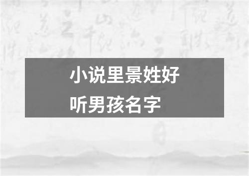 小说里景姓好听男孩名字